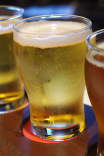 小柑橘什么茶種?全面解析其品種淵源與獨特沖泡技巧