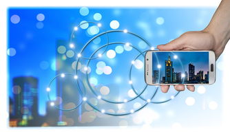 基于創新驅動的柑橘產業研究項目可持續發展路徑探索