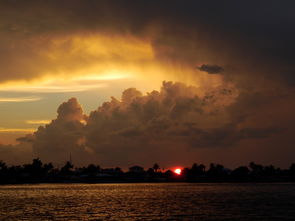 柑橘烏云星期二：果香謎云籠罩的都市懸疑序幕