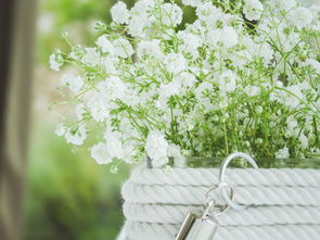 抖音網(wǎng)紅小青柑瓜爆紅背后：流量密碼與口感測評全解析