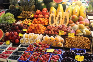 川津1號柑橘苗價格多少?2023年市場行情及最新報價解析