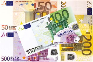 國慶一號柑橘苗多少錢？市場行情及價格走勢解析