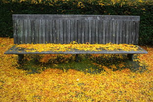 石門柑橘樹苗種植指南：優質品種選購與高產栽培技巧