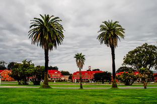 川津1號柑桔適合什么地方種?氣候條件與適宜栽培區(qū)域解析