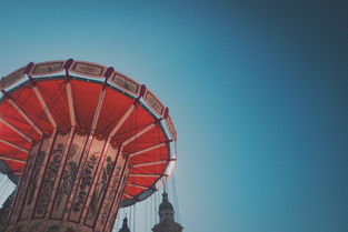 目前明日見柑橘價格市場行情分析及產銷動態解讀