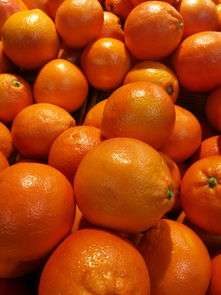 最新收錄:新品種無核柑橘品種大全|種植指南與優(yōu)質(zhì)果品推薦