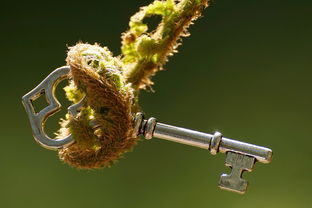 柑橘3月花變化：關(guān)鍵物候期生長(zhǎng)特征與生態(tài)調(diào)控解析