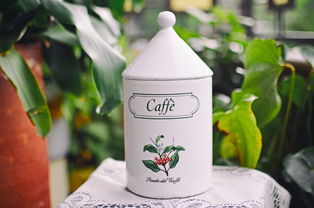 新鮮小青柑做法全攻略：手把手教你制作果香四溢的夏日茶飲