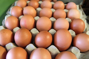 新會柑分有幾個區域呢？詳解核心產區劃分及地域分布特點