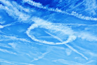 沃柑個(gè)頭多大(沃柑長(zhǎng)多高)