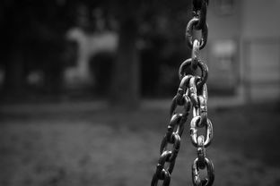 柑橘烏云英文怎么說(shuō)？解密Citrus Dark Cloud的趣味科普與快速掌握技巧