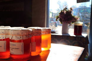 川津1號蜜達哪個好?2023熱門蜂蜜品牌全面測評與選購指南