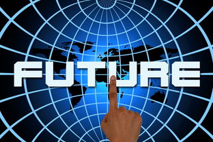 2024年柑橘行情深度解析：市場趨勢、產銷預測與價格波動展望