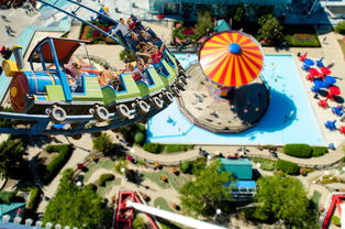 柑橘新品種在什么地方有？全國主產區分布與選育基地解析