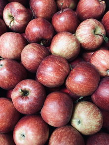 盤點(diǎn)四川產(chǎn)哪些柑橘類果及其特色品種