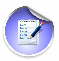 手把手教你小青柑怎么做：從選材到沖泡的全流程解析