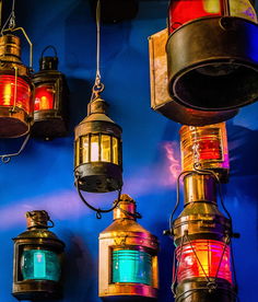 2023年柑桔苗交易行情最新動態(tài)及區(qū)域價格走勢分析