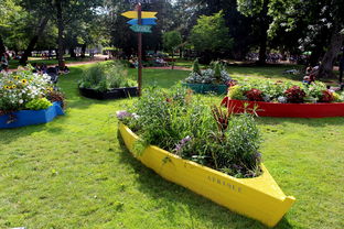 柑橘幼樹自然開心型修剪方法的高效栽培技術(shù)與實(shí)操指南