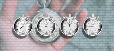 柑橘的主要特征是什么？解析其形態結構、分類特點與主要用途