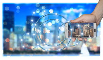 鄉(xiāng)村振興戰(zhàn)略下中國柑橘產(chǎn)業(yè)經(jīng)濟發(fā)展研究及可持續(xù)發(fā)展路徑探索