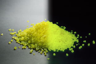 開春柑橘幼苗到底施什么肥好?春季科學施肥方案與肥料選擇指南