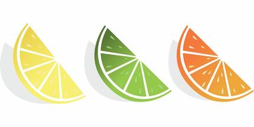 柑橘產業升級背景下的橘子銷售方案優化與創新渠道拓展策略