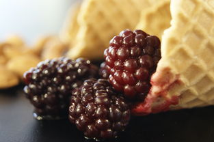 柑橘類水果三大祖先溯源：古老基因如何塑造現(xiàn)代果香傳奇