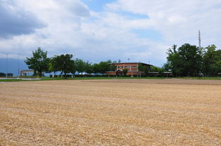 探訪萬州新田柑橘種植基地：鄉(xiāng)村振興與生態(tài)農(nóng)業(yè)的黃金示范帶