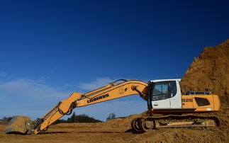 柑桔采收加工技術全產業鏈解析：從采后處理到深加工的關鍵工藝優化