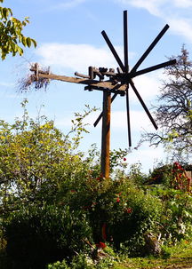 現代化柑橘培育基地建設與高效種植技術示范園