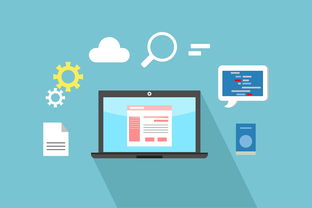 柑樹施肥管理方案：全年高效施肥技術要點與科學管理解析