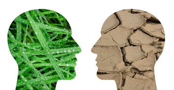 柑橘主要產自熱帶還亞熱帶:全球產區分布與氣候適應性解析