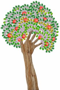 柑橘樹現在用什么藥合適？2023年當前季節科學用藥與病蟲害防治指南