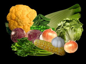 柑橘加工產品的創新開發與多元化應用