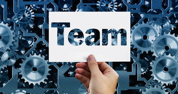 高效掌握柑橘削接穗手法：從工具選擇到操作步驟全解析