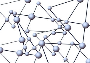 柑橘主干形培養技術管理(柑橘組織培養)