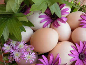 柑橘干枯病防治方法（柑橘枯枝病怎么治療）