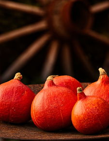 沃柑橙子哪個更營養(yǎng)（沃柑貴還是橙子貴）