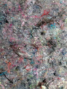 柑橘灰霉病真菌圖片(柑橘灰霉病發(fā)病高峰期)