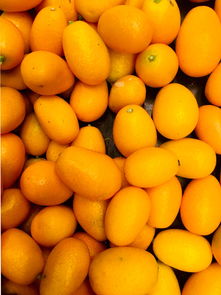 柑橘就橘子嗎（柑橘是果實(shí)嗎）