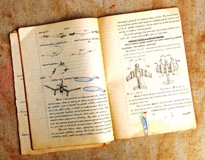 山西柑橘大棚種植技術規程新文件（山西柑橘大棚種植技術規程新文件最新）