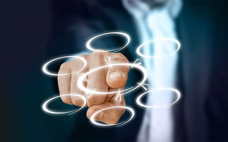 防治柑橘大實蠅掛灌技術(shù)視頻（柑橘大實蠅的受精方式）