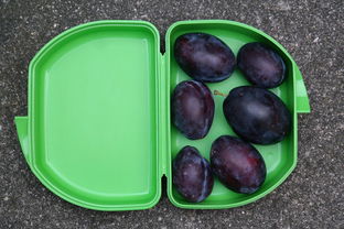 蜜桔賣多少錢一斤合適(蜜桔產量)