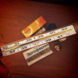 沃柑桔膠病怎么治(沃柑沾藥)