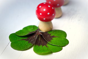 品質(zhì)好容易剝皮柑橘哪種(好的柑橘品種有哪些)