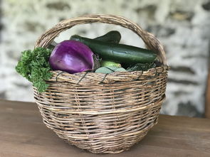 紅美人黃美人柑橘哪個好吃些（紅美人柑橘哪個品種最好的）