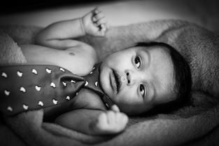 柑橘炭疽病癥狀什么(柑橘炭疽病是什么原因引起的)