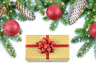 柑橘秋天能移栽嗎(柑橘樹秋天可以剪枝嗎)