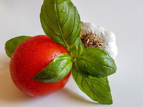 沃柑沒有花蕾怎么辦(沃柑有芽無花怎么辦)