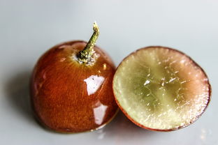 沃柑沙糖桔哪個好吃哪個壽命更長些（沃柑 沙糖桔）